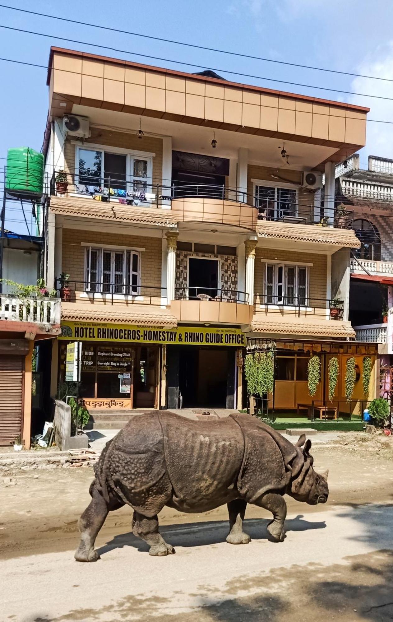 Hotel Rhinoceros-Homestay Sauraha Exterior foto